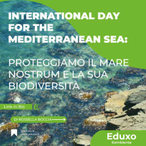 Scopri di più sull'articolo International Day for the Mediterranean Sea: Proteggiamo il Mare Nostrum e la sua Biodiversità